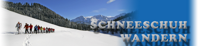 Pro Adventures Pro Adventures